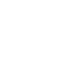 Our Portfolio