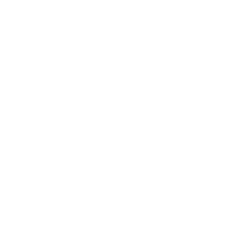 Worldwide Mobility